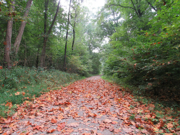 Snake Road